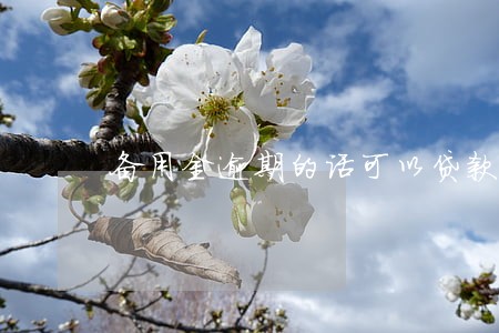 备用金逾期的话可以贷款吗 备用金逾期的话可以贷款吗