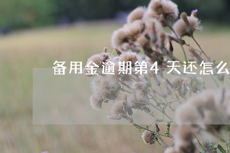 备用金逾期第4天还怎么样 备用金逾期第4天还怎么样