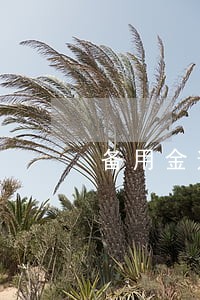 备用金逾期自动扣了200 备用金逾期自动扣了200