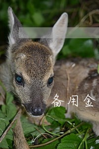 备用金逾期芝麻信用分 备用金逾期芝麻信用分
