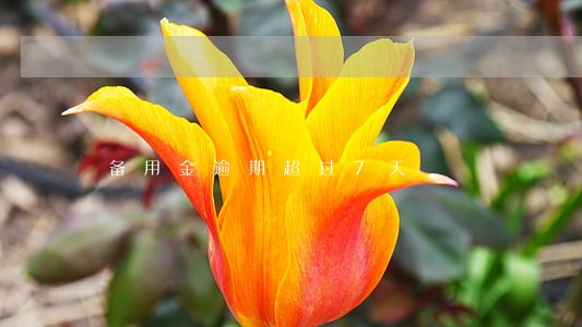备用金逾期超过7天 备用金逾期超过7天