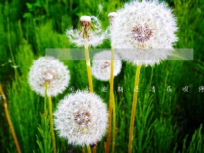 备用金逾期还清花呗停用10天 备用金逾期还清花呗停用10天