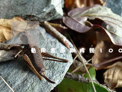 备用金逾期降额100 备用金逾期降额100