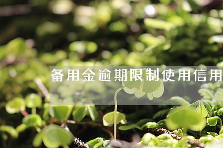 备用金逾期限制使用信用服务 备用金逾期限制使用信用服务
