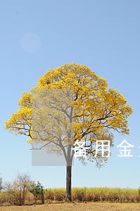 备用金逾期额度掉到100 备用金逾期额度掉到100
