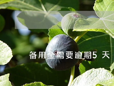 备用金需要逾期5天 备用金需要逾期5天
