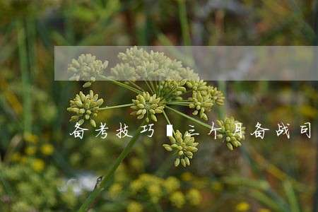 备考技巧丨三个月备战司法考试