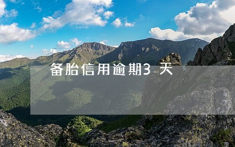 备胎信用逾期3天