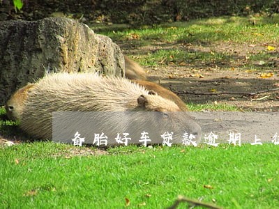 备胎好车贷款逾期上征信吗6 备胎好车贷款逾期上征信吗6
