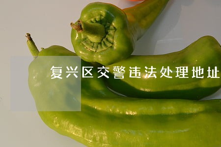 复兴区交警违法处理地址 复兴区交警违法处理地址