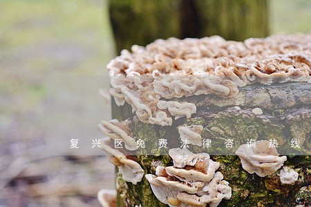 复兴区免费法律咨询热线 复兴区免费法律咨询热线