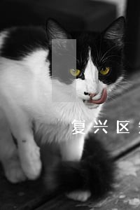 复兴区知名的婚姻调解律师辩护 复兴区知名的婚姻调解律师辩护