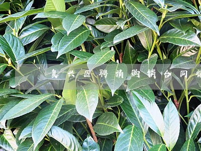 复兴区聘请购销合同律师 复兴区聘请购销合同律师