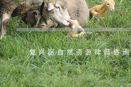 复兴区自然资源律师咨询电话 复兴区自然资源律师咨询电话