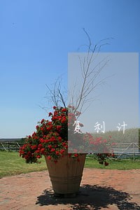 复利计算的房贷违法吗 复利计算的房贷违法吗