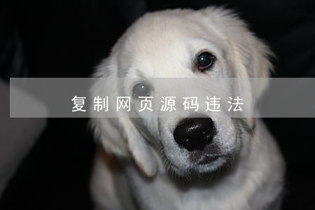 复制网页源码违法