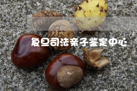 复旦司法亲子鉴定中心 复旦司法亲子鉴定中心