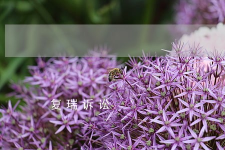 复瑞诉讼 复瑞诉讼