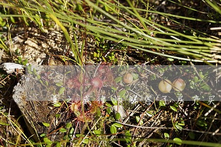夏之威律师解答了房产买卖 夏之威律师解答了房产买卖