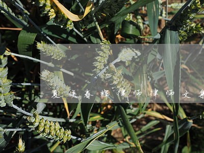 夏侯春辉律师律师文集 夏侯春辉律师律师文集