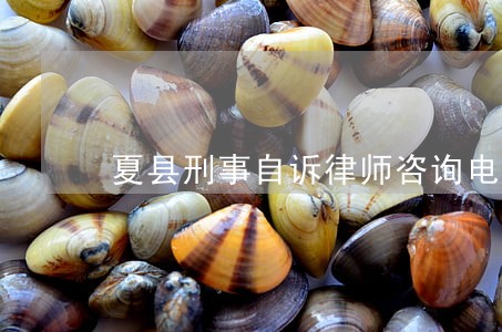 夏县刑事自诉律师咨询电话 夏县刑事自诉律师咨询电话