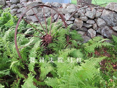 夏县法院马虹 夏县法院马虹