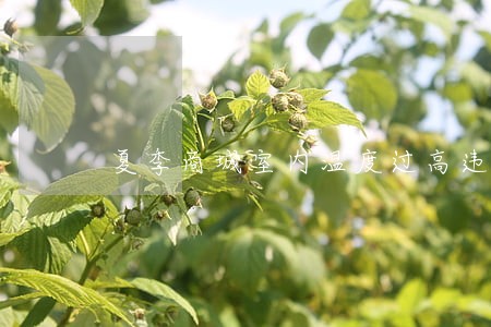 夏季商城室内温度过高违法吗 夏季商城室内温度过高违法吗