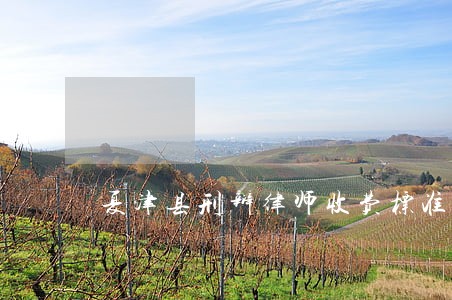 夏津县刑辩律师收费标准 夏津县刑辩律师收费标准