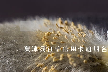 夏津县征信信用卡逾期名单 夏津县征信信用卡逾期名单