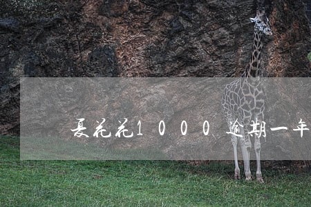 夏花花1000逾期一年多少 夏花花1000逾期一年多少