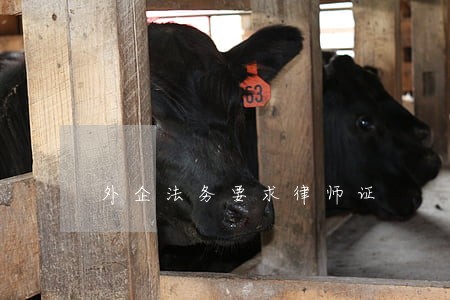 外企法务要求律师证 外企法务要求律师证