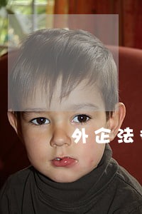 外企法律顾问一般多少钱 外企法律顾问一般多少钱