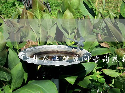 外企法律顾问咨询热线 外企法律顾问咨询热线