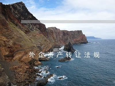 外企资产转让法规 外企资产转让法规