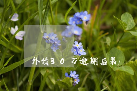 外债30万逾期后果