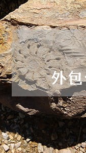 外包公司开发软件违法程序员被抓 外包公司开发软件违法程序员被抓