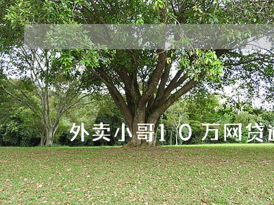 外卖小哥10万网贷逾期怎么办