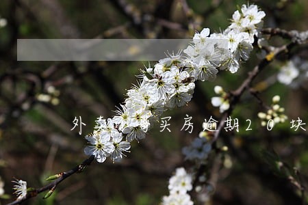 外卖小哥买房逾期20块 外卖小哥买房逾期20块