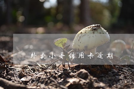 外卖小哥信用卡逾期 外卖小哥信用卡逾期