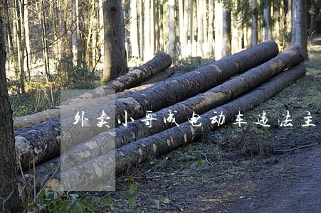 外卖小哥成电动车违法主力军