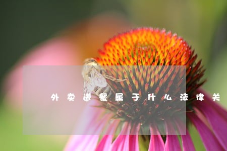 外卖送餐属于什么法律关系 外卖送餐属于什么法律关系