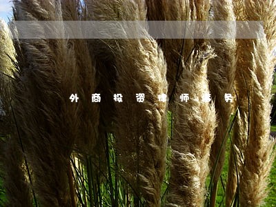 外商投资律师事务 外商投资律师事务