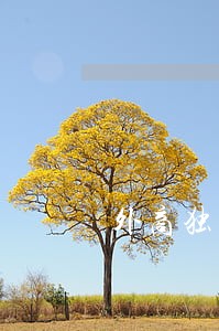 外商独资公司法人变更 外商独资公司法人变更