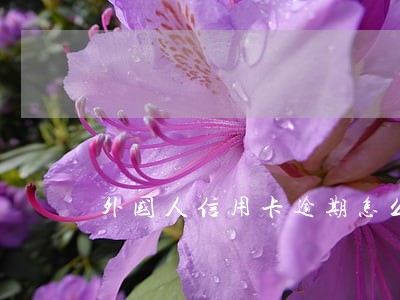 外国人信用卡逾期怎么办 外国人信用卡逾期怎么办