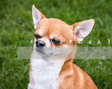 外国人在中国违反了法律怎么办