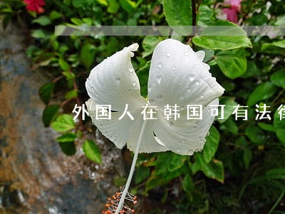 外国人在韩国可有法律援助吗 外国人在韩国可有法律援助吗