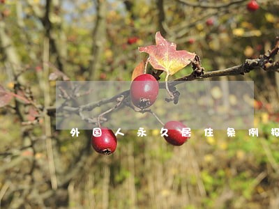 外国人永久居住条例投票全集 外国人永久居住条例投票全集