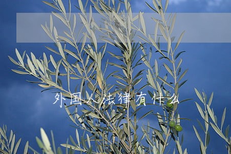 外国人法律有什么 外国人法律有什么