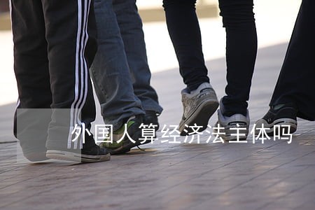 外国人算经济法主体吗 外国人算经济法主体吗