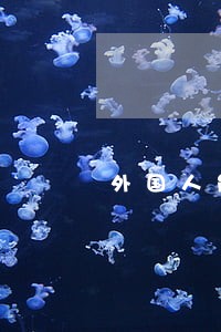 外国人能在基层法院起诉中国人吗 外国人能在基层法院起诉中国人吗